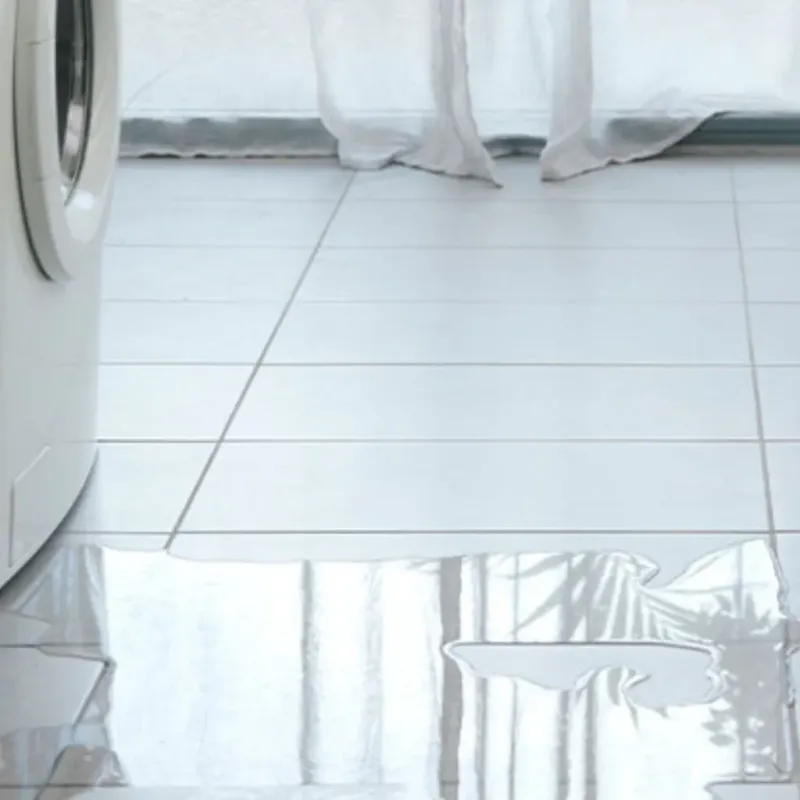 Appliance Leak Cleanup in Yoncalla, OR