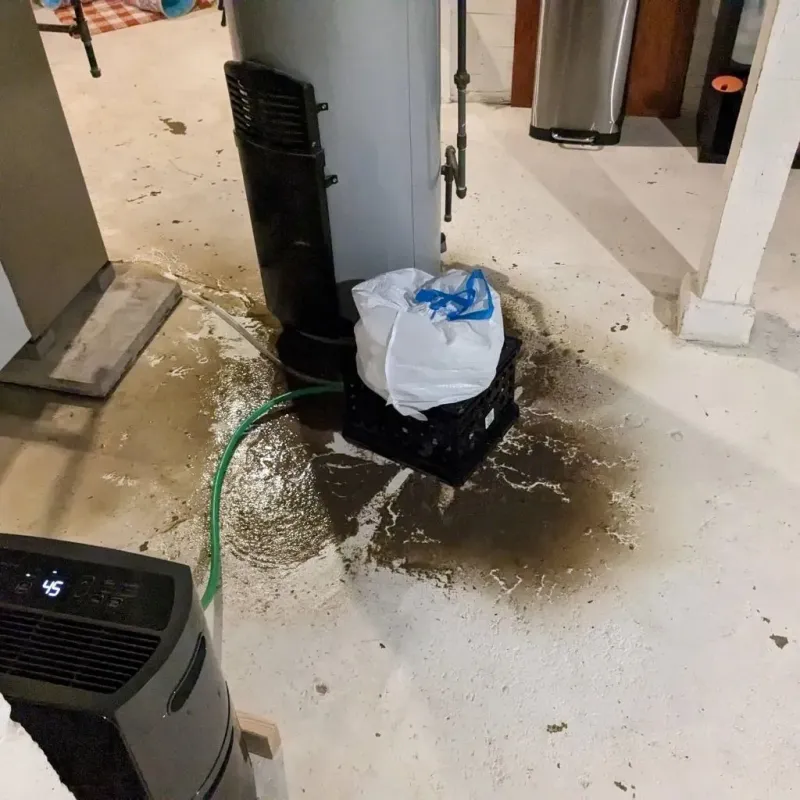 Sewage Backup Cleanup Service in Yoncalla, OR